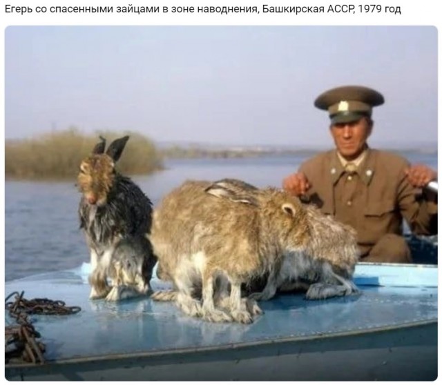 ​ Фотографии из прошлого нашей страны – 96