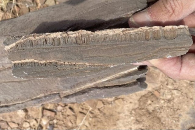 Геологи столкнулись с неизвестной формой жизни в Намибии