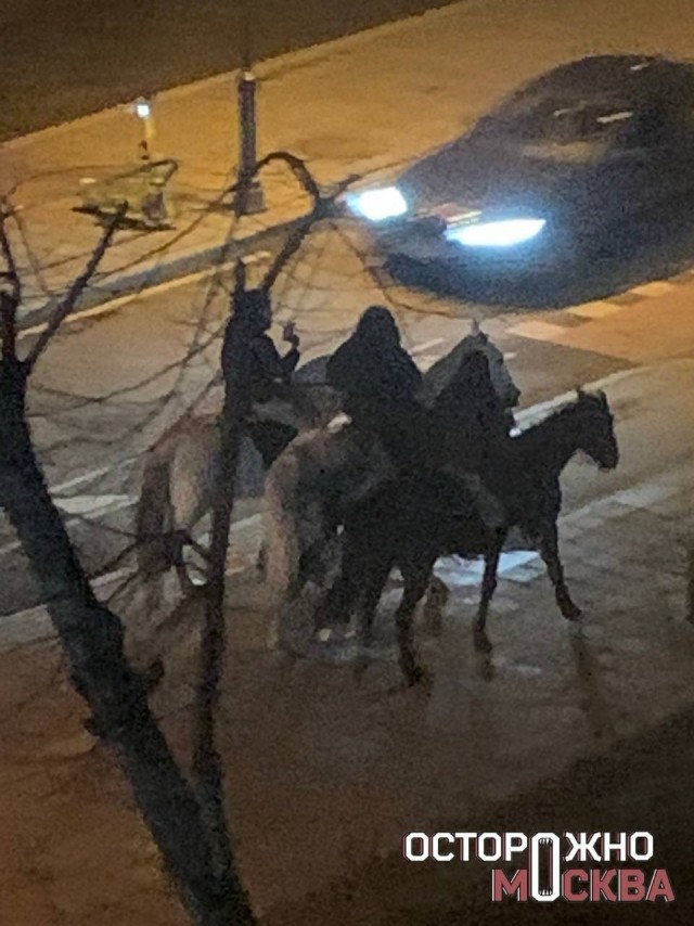 Жители Патриарших жалуются на ночной шум от конных прогулок.