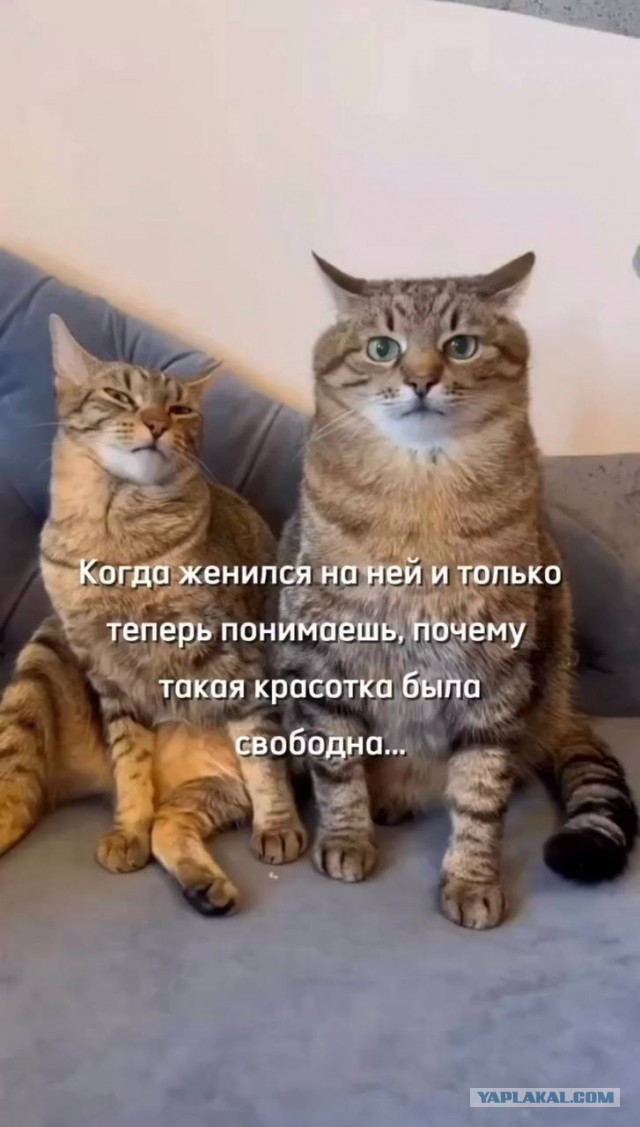 Просто будь, говорили они