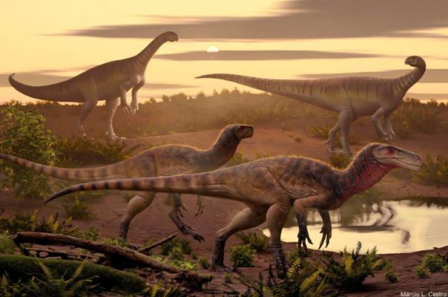 В Индии найден новый вид древнего хищного динозавра Maleriraptor kuttyi