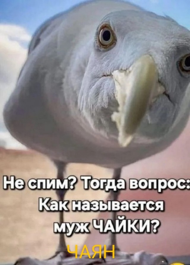 Юмор для тех, кто уже повзрослел и понял, что «готовка» — это разогреть вчерашний суп