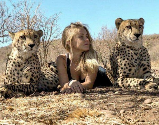 Соскучилась
