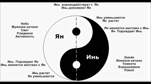 Милота дня: чел взял котенка из приюта, но тот отказался уходить без своей лучшей подруги, и кожаному пришлось забрать обоих
