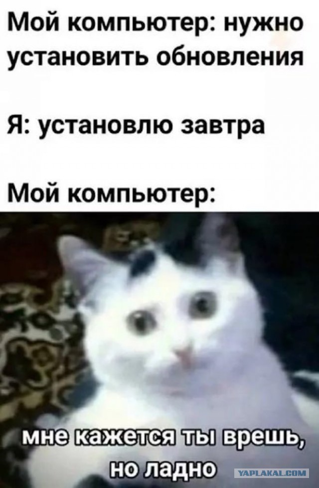 Веселые картинки в пятницу (15.08)