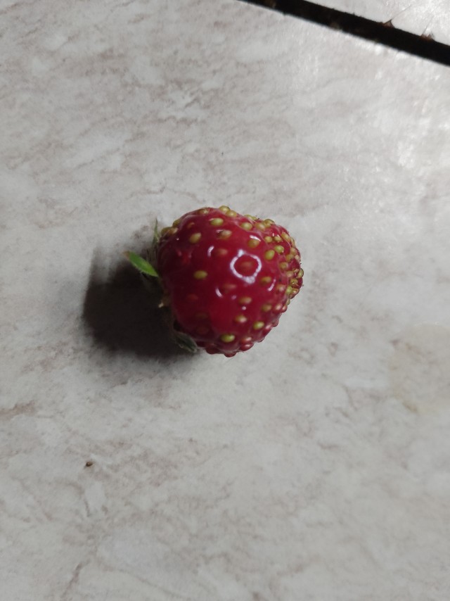 Маленькая, но вкусная..