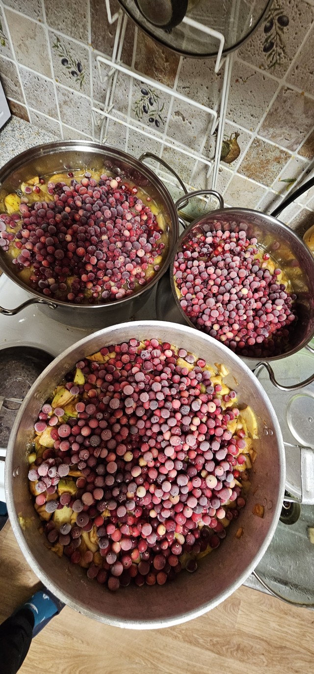Пастила доиашняя