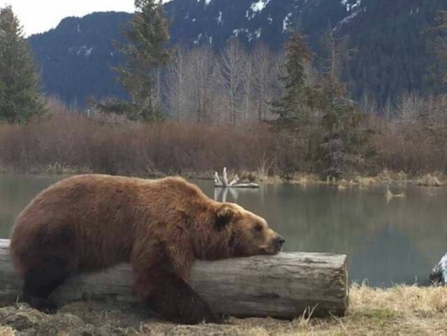 Картиночки на 18.02.2026