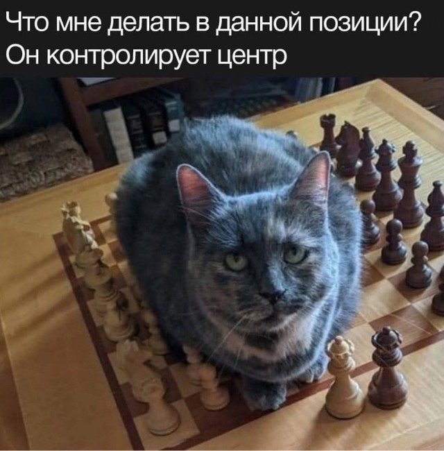 Вторника картинки