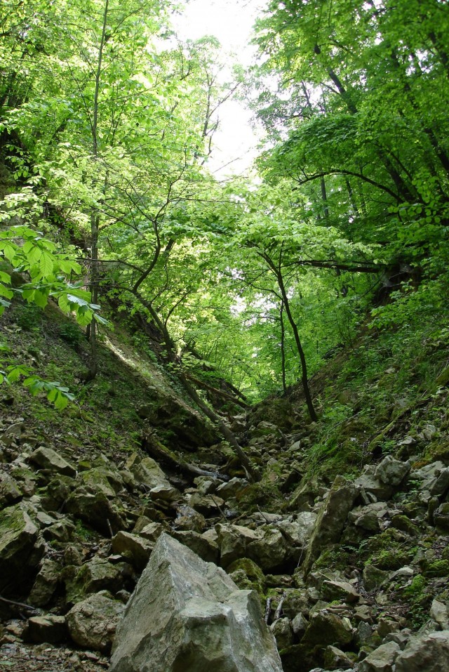Старый водозабор