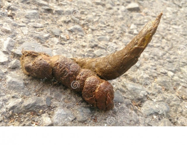 Путин готов к встрече с Зеленским, — Песков.