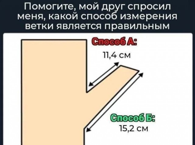 Веселые картинки в пятницу (15.05)