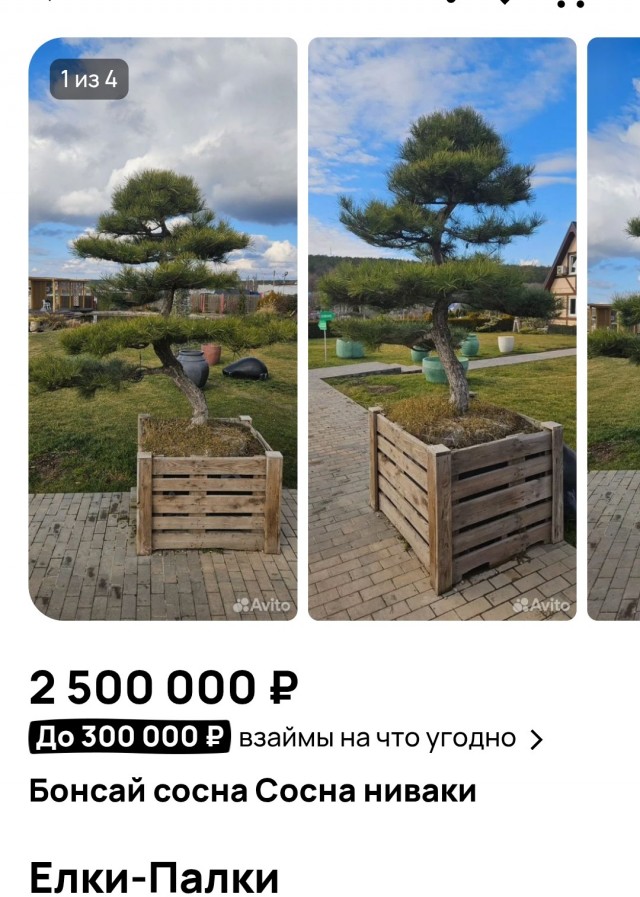 Мощный взрыв при разгрузке газовоза с последующим возгоранием произошёл в Пятигорске