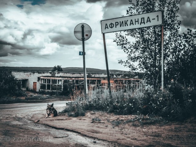 НестандART v. 56.0