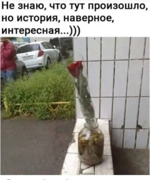 Так себе картинки 24.07.26