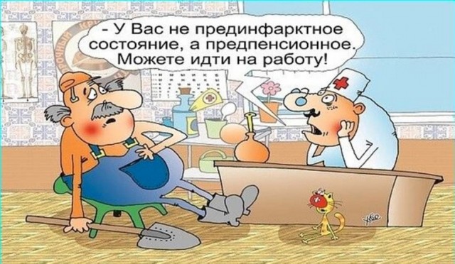 Картинки для деградации 251 (разной степени свежести)