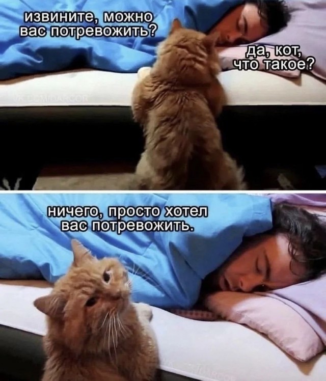 Картинки для деградации 252 (разной степени свежести)