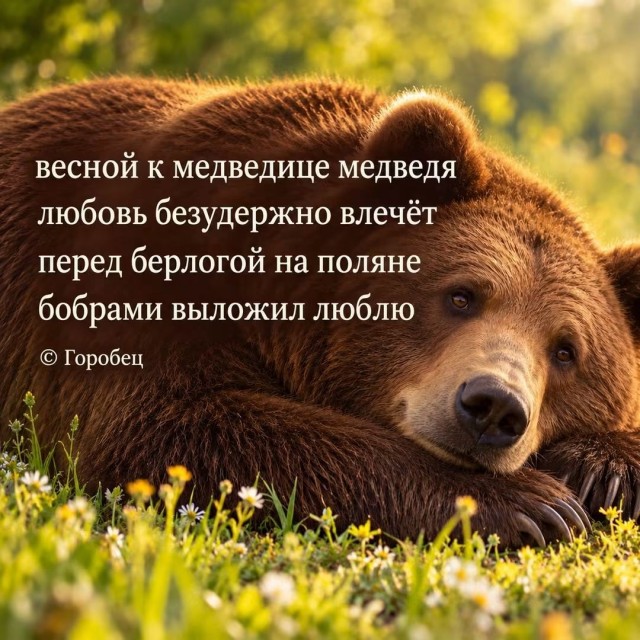 Солянка без копчёностей