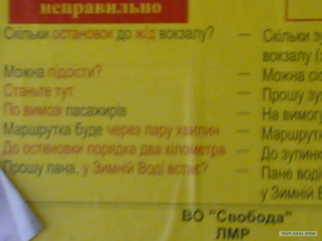 Жизнь вокруг меня