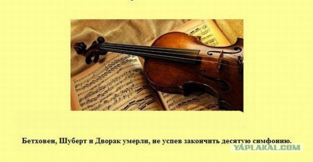 20 фактов обо всем