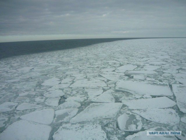 Черное море... замерзло!