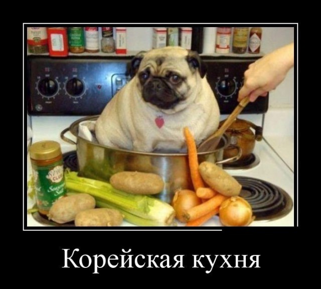 Прикольные картинки и демотиваторы