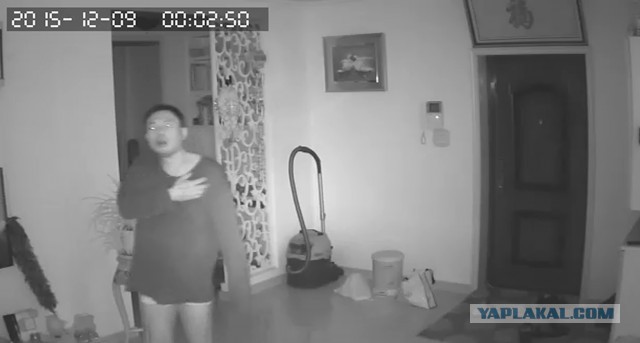 За что я люблю китайцев