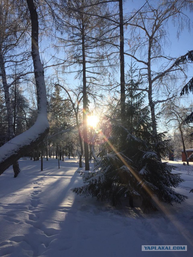 Ташкент, 2 января