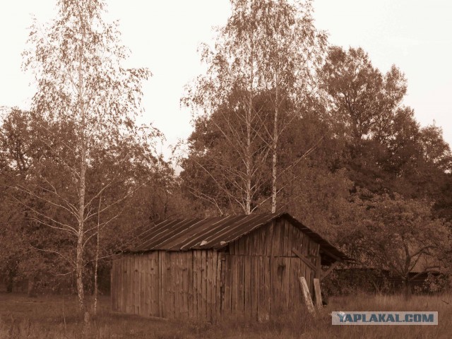 Как видит мир фотограф с синдромом Дауна