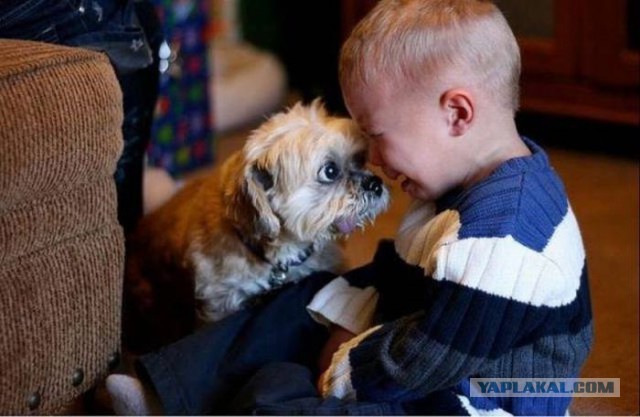 Подборка картинок 29.02.16