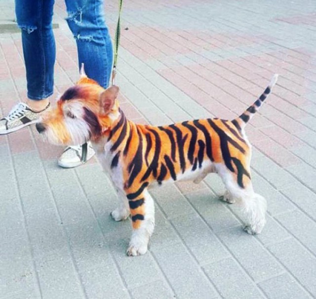 Подборка интересных и веселых картинок