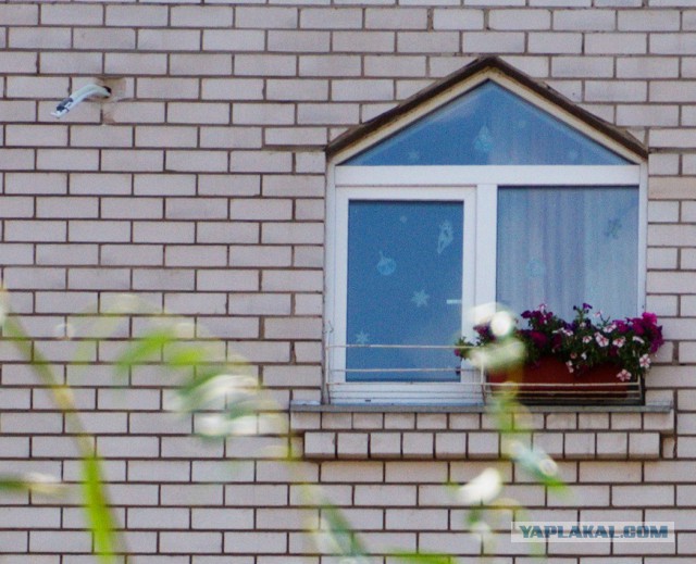 Попросил ребят сфотать как работаю...