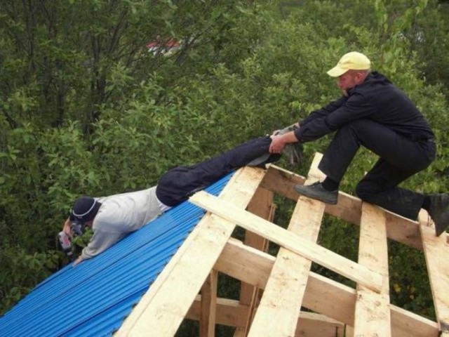 Картинки из сети
