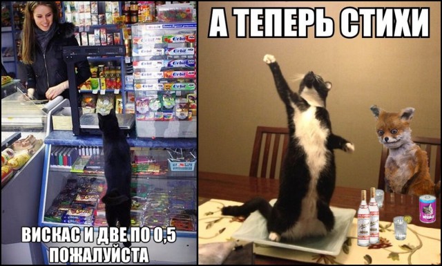 Клуб анонимных алкоголиков