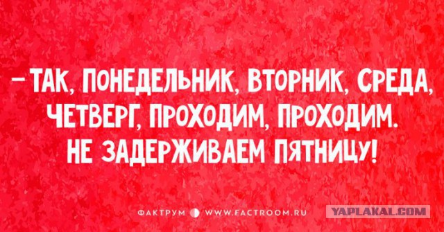 Высказывания из Интернета