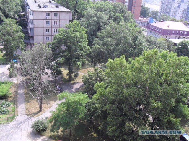 Народ против Народного депутата. Владивосток - битва уходящего года