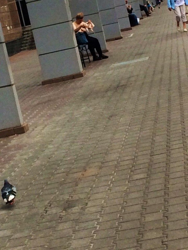 Новые тренды белорусской моды