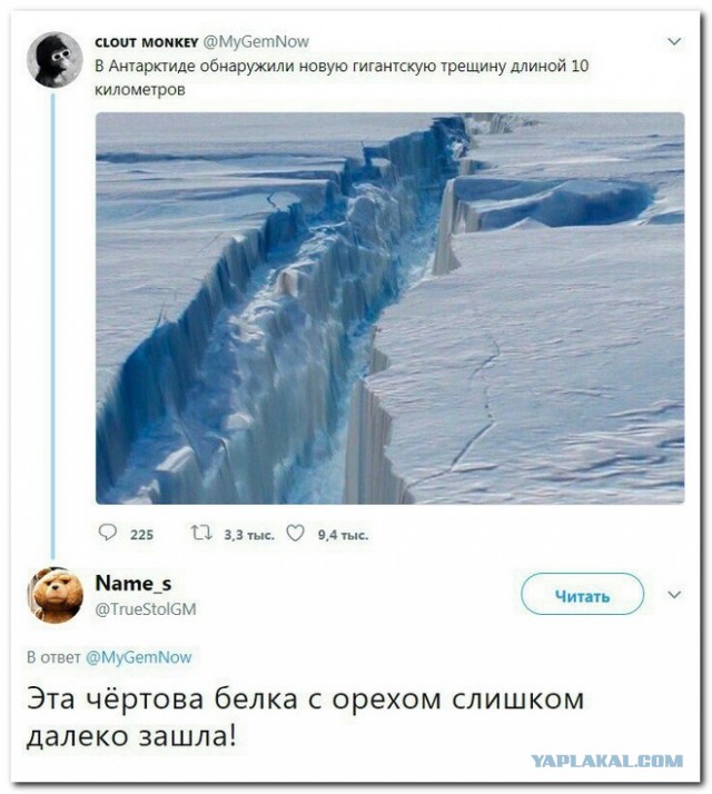 Смешные комментарии из социальных сетей