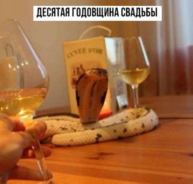 Картинки по-приколу