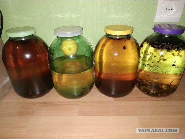 Как я занялся самогоноварением