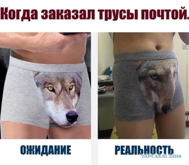 Весёлые картинки