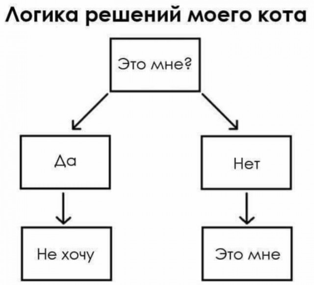 Немного картинок на вечер