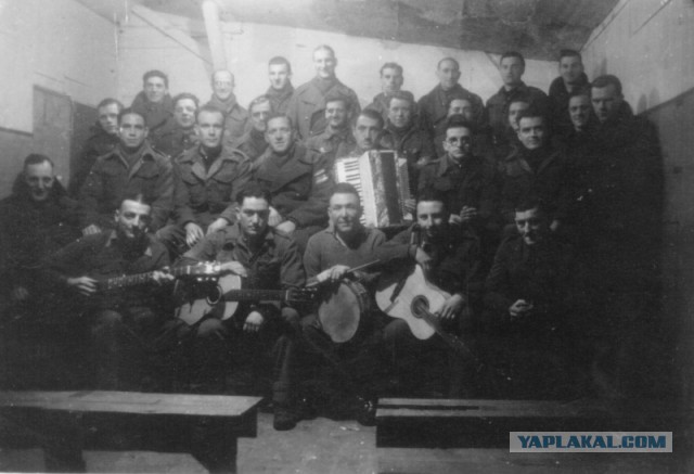 Нижегородский замминистра щеголяет в куртке с эмблемой дивизии вермахта?