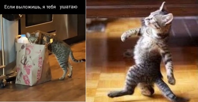 Вас заметили!