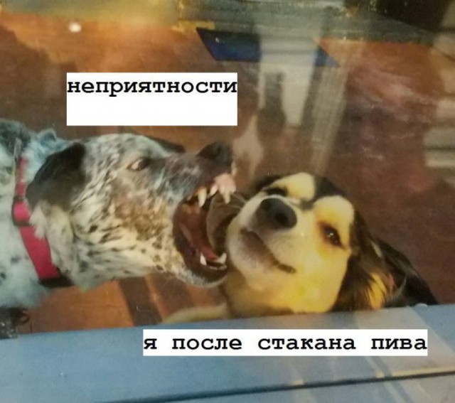 Немного картинок для настроения
