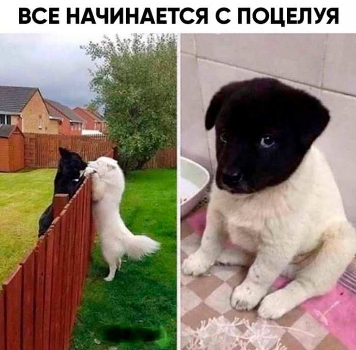 «Картинки разные нужны, картинки разные важны» 21.09