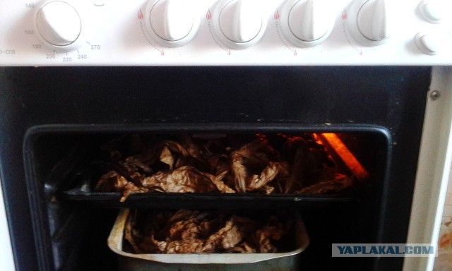 Откуда табак берется