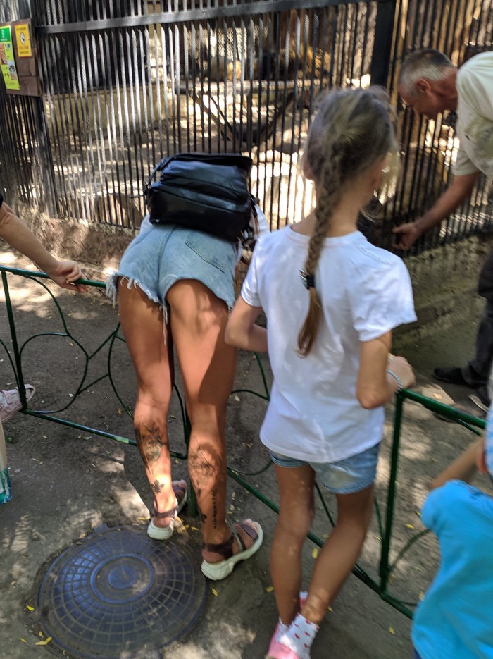 А нечего к клетке соваться, не хомячок там!