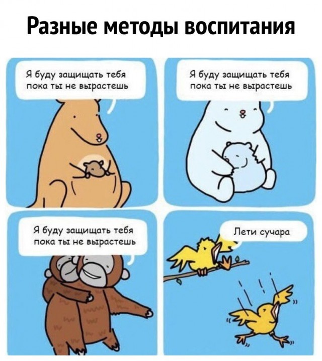 Бредзона 09.03.20