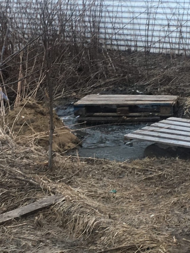 Муж купил квартиру так, чтобы мне она не досталась